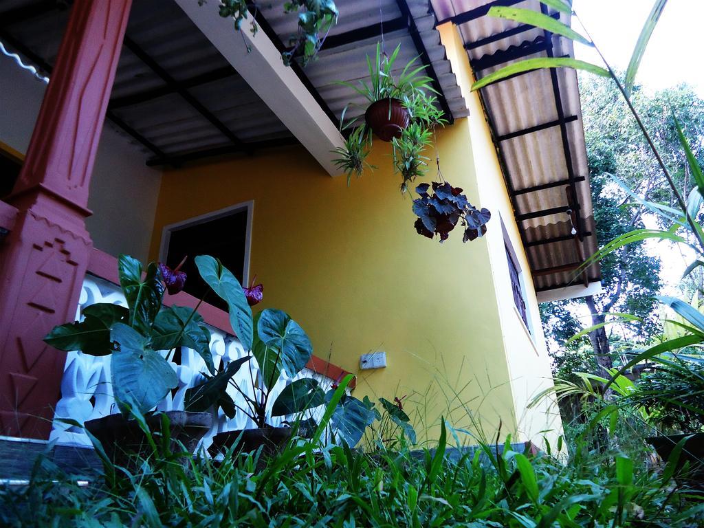 Sigiri Sithru Home Stay Sigiriya Exterior photo