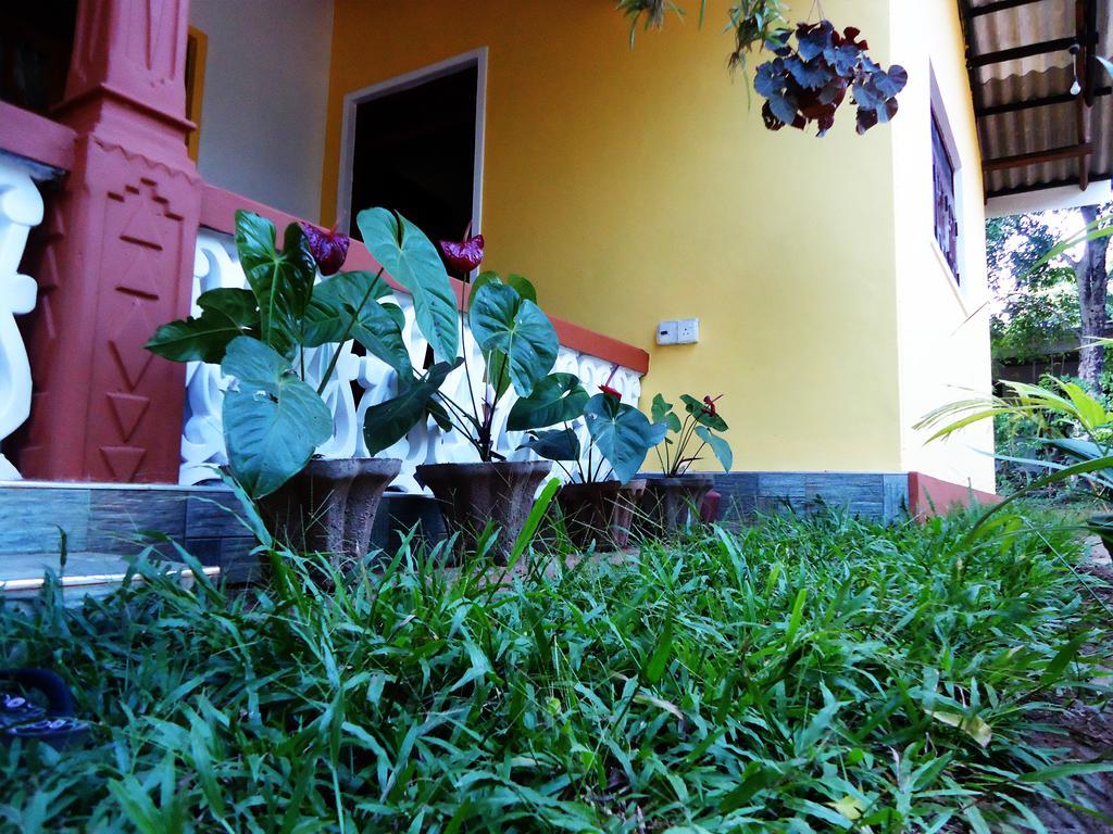 Sigiri Sithru Home Stay Sigiriya Exterior photo